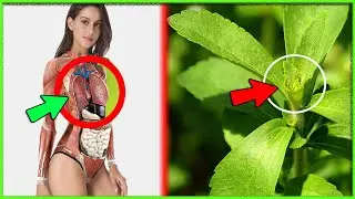 This Plant Will Change All The Balances In Your Body, Incredible Plant