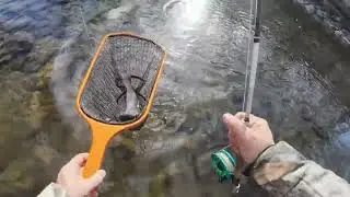 The bite before the storm