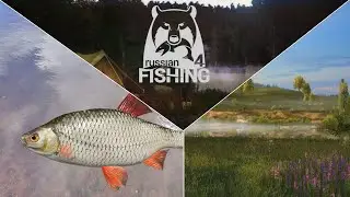 Rotfeder-Spot mit Trophypotenzial - Ehrenfischer Sura | Russian Fishing 4
