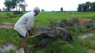 Daily Living Grandpa At Cambodia Country Side Making Farm and Gardening Unique Fishing Skill
