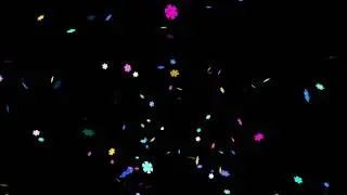 Confetti-show-02-FOOTAGE