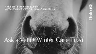 Essential Winter Horse Care Tips from Veterinarian Dr. Lisa Casinella