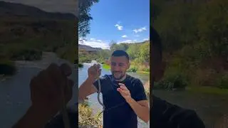 Поймал в Армении змею 🐍которая обитает в реке Раздан и она НЕ ядовитая #армения #змея #природа
