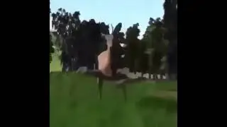 youtube kid