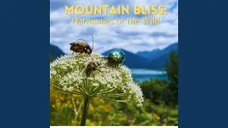 Eagle's Echo: Alpine Melodies