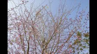 Relaxing Sleep Music &bull; Piano Music,Gilberto Jimenez Ari Walker Rayne Figueroa Anna Ochoa Reese Moses