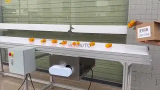 Autos food grade belt conveyor for food fruits packing line whatsapp +8617849523453
