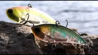 Lures in Motion: Realis Vibration 62/68 Apex Tune