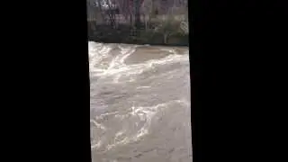 River Kelvin flowing through Glasgow - 26/01/14