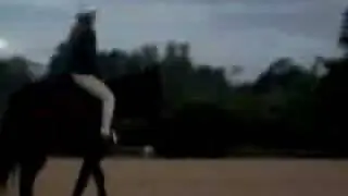 Colty & me pacing