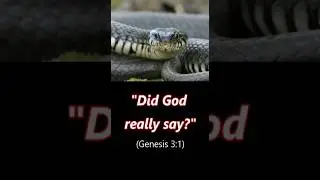 KUNDALINI AWAKENING & THE HOLY SPIRIT #awakening#bible #shorts