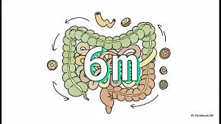 Digestion of food