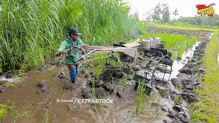 Traktor Sawah Roda Jumbo Garap Lahan Mulai Dari Dipetakan Kecil Dulu