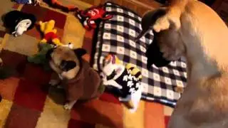 MOV04867