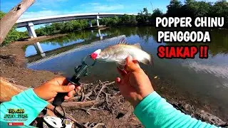 💢MANCING SIAKAP LAGI MENGGUNAKAN POPPER DAN PENCIL