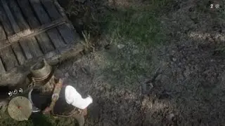 Red Dead Redemption 2_game breaking glitch door wont open with completed map