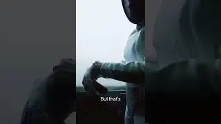Kung Fu Crabs