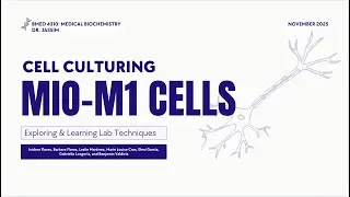 Cell Culture Protocol MIO-M1 Cells