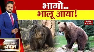जंगल से रिहाइश में आया भालू तब क्या हुआ? देखिए इस वीडियो में | Chhattisgarh |  Bear's Terror