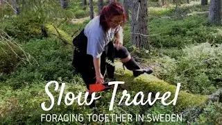 Slow travel - Foraging in Sweden