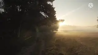 #Morning amidst nature | #sunrise | zansazco