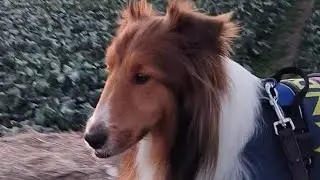 う～ちゃん危険地帯突破😂
