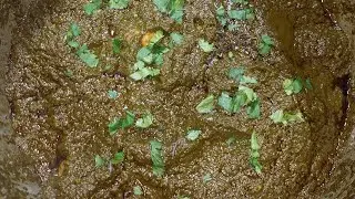 Palak chicken qorma recipe easy and tasty 😋 Desi cooking with Almas ❤️