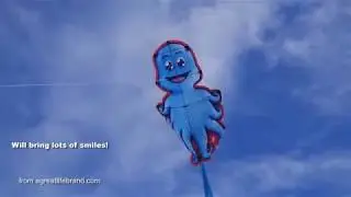 aGreatLife Octopus kite for kids assembly instructions. Best selling toy at amazon.com
