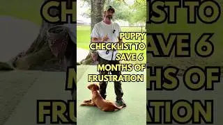 Consistent Dog Training: The Key Habit Every New Puppy Owner Needs