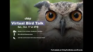 Ominous Owls with Bob Cisneros; 2020 edition | Chirp Nature Center