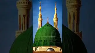 #facts #randomfacts #ramadan #trending #amazingfacts #viral #latest