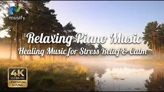 Relaxing Piano Music 🎵 1 Hour | Healing Music for Stress Relief & Calm