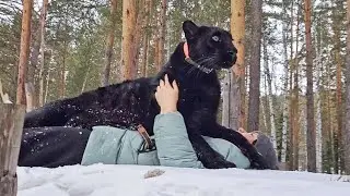 Пантера Луна. Прогулка по любимым местам (Часть 2)