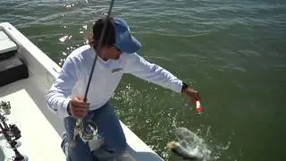 Florida Adventure Quest in the ten thousand islands catching trophy sea trout on the Trout Call