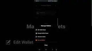 Update your #SecuX #hardware #wallet #Nifty Firmware manually.