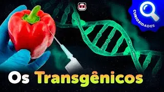 O que são os Transgênicos?