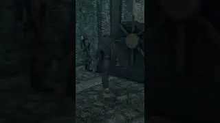 Эксперименты Фаренгара в Скайрим. #mrcatgame #skyrim #tes #theelderscrolls #древниесвитки #скайрим