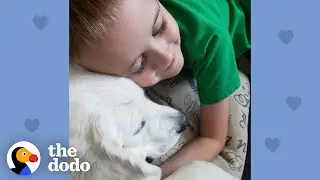 Puppy Takes Away Her Brother's Anxiety | The Dodo Soulmates