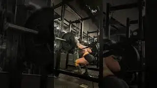 Quad focused leg day