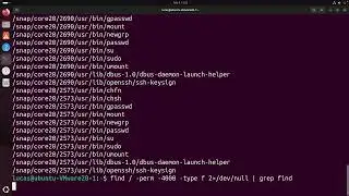 Linux Privilege Escalation: Abusing SUID Binaries to Become Root