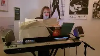 Heidi Forssell - (Live cover) av Blowin in The Wind