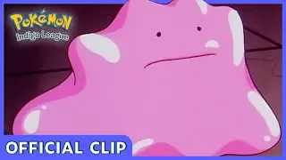 Duplica and Ditto! | Pok&eacute;mon: Indigo League | Official Clip