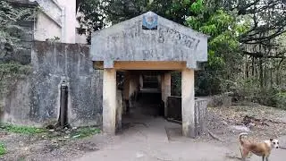 Aarey Dairy#आरे डेअरी#aarey colony part 3