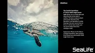 SeaLife SportDiver/Smartphone Underwater Photo Workshop #underwaterphotography