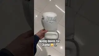 Боксерские перчатки Everlast🦾 #music #boxinggloves #youtubeshorts #boxing #москва #бокс #everlast