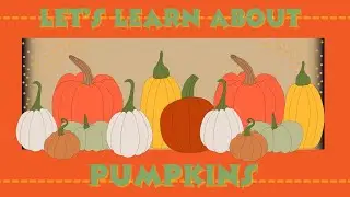 Let's Learn About Pumpkins