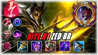 AIYE ZED MONTAGE - 