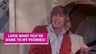 The Gay Deceivers 1969 - HILARIOUS flowers scene! 🤣 Rare Gay Movies 🌈