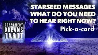 STARSEED MESSAGES--What do you need to hear right now?