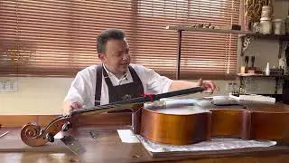 CELLO EAGLE CE 310